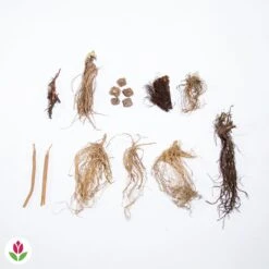 Collection De 15 Plantes Vivaces - 2 M² -Pas Cher Vertuval Magasin 020522 wil qlz 103905 1 1703062495191