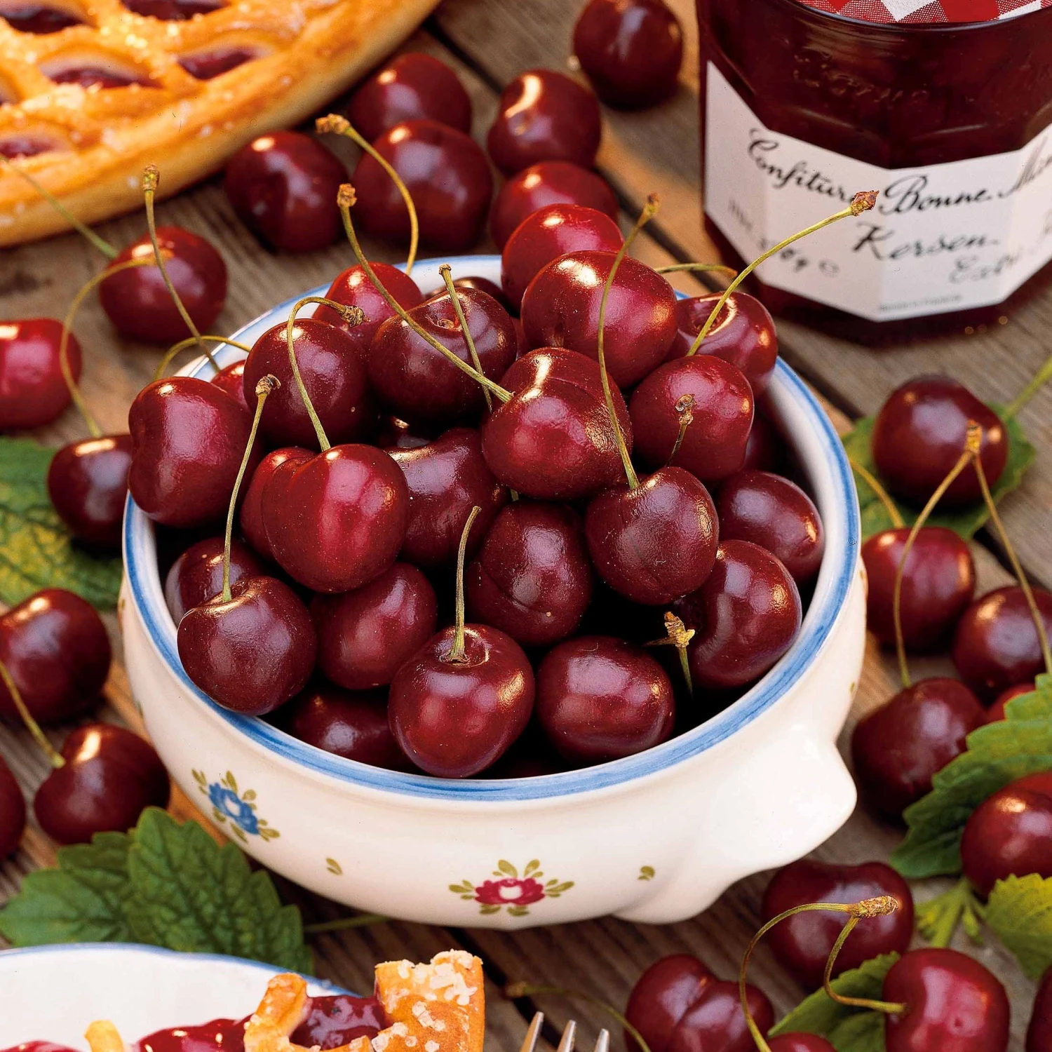 Cerisier Bigarreau Van 3 Cerisier Bigarreau Van – Image 3