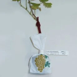 Pas Cher Vertuval Magasin -Pas Cher Vertuval Magasin 103766 2 1706090469029