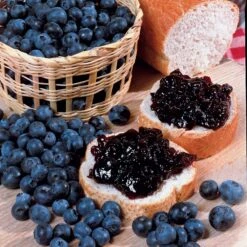 Collection De 4 Arbustes à Fruits Vitaminés -Pas Cher Vertuval Magasin 104035 5