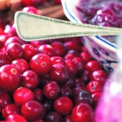 Collection De 4 Arbustes à Fruits Vitaminés -Pas Cher Vertuval Magasin 104035 6